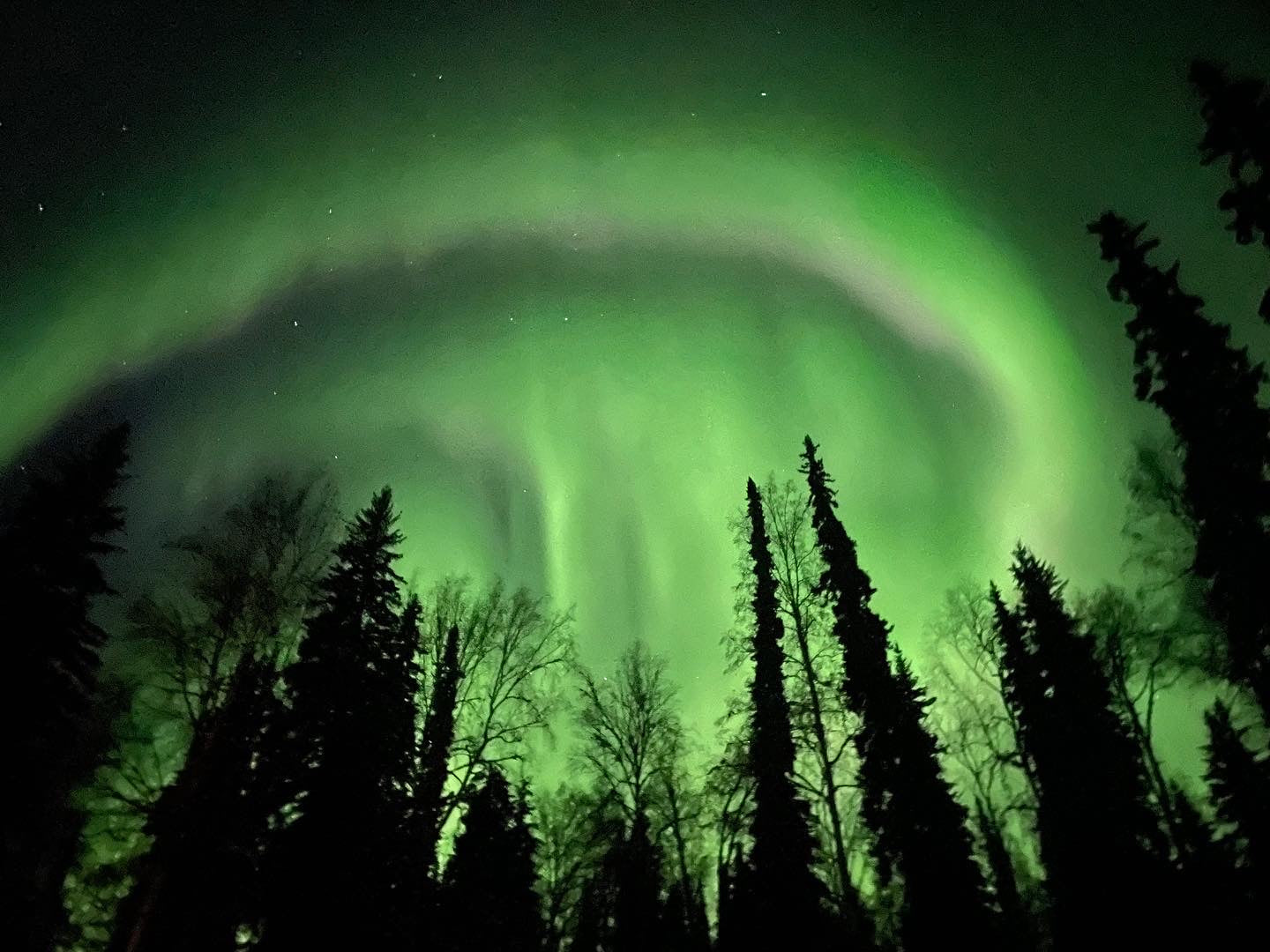 Aurora Bracelet - Green